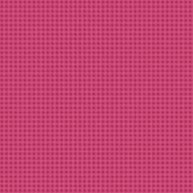 Precious Petites Magenta Checks