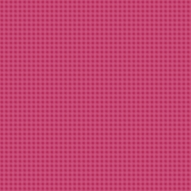 Precious Petites Magenta Checks