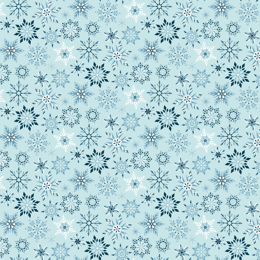 Winter Magic Snowflakes Aqua