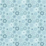 Winter Magic Snowflakes Aqua