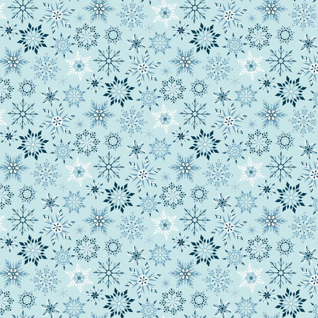 Winter Magic Snowflakes Aqua