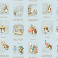 CD17252Blue Story Time, Peter Rabbit™ and Benjamin Bunny™ 1/2m
