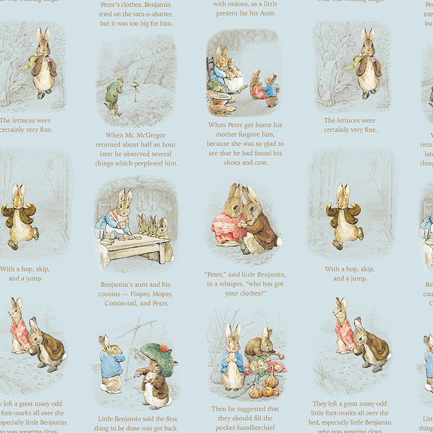 CD17252Blue Story Time, Peter Rabbit™ and Benjamin Bunny™ 1/2m