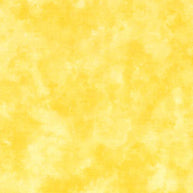 Lemon 1/2m