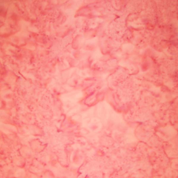 Hoffman 1895 Batik Watercolour Cotton Candy 1/2m