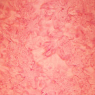 Hoffman 1895 Batik Watercolour Cotton Candy 1/2m