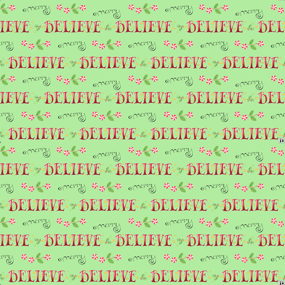 So Much Joy! Believe and Merry Lime
