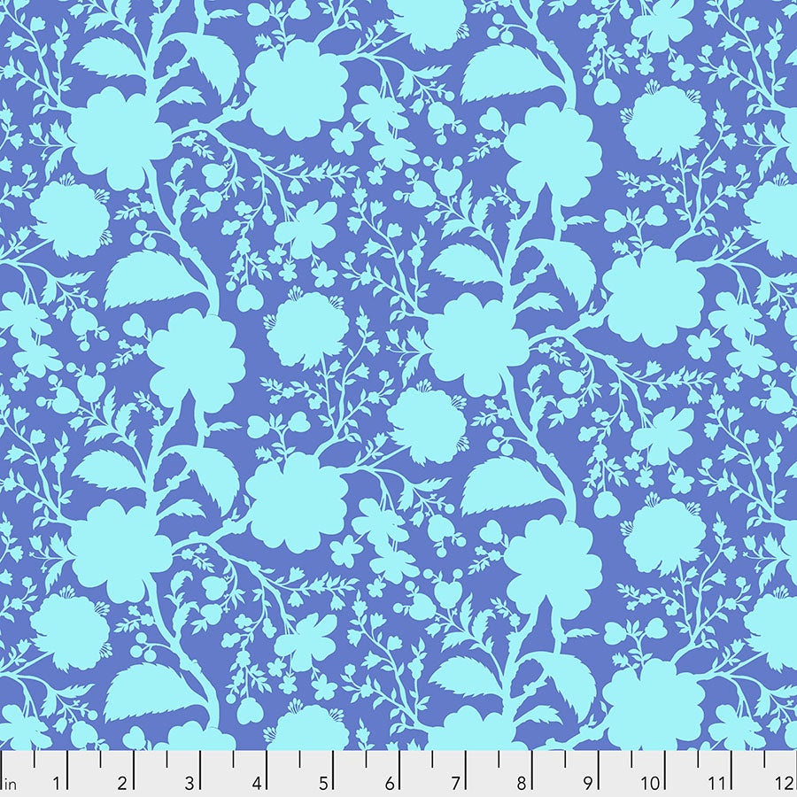 True Colors - Wildflower Delphinium 1/2m
