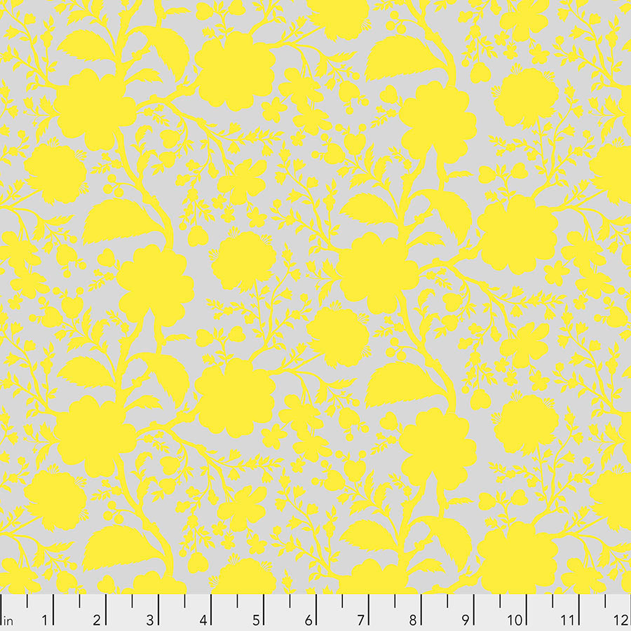 True Colors - Wildflower Daisy 1/2m