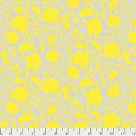 True Colors - Wildflower Daisy 1/2m