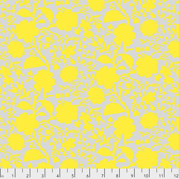 True Colors - Wildflower Daisy 1/2m