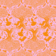 Curiouser & Curiouser - Down the Rabbit Hole Wonder 1/2m