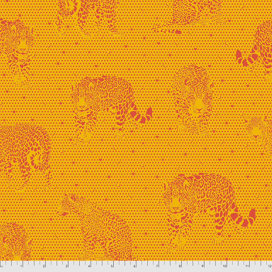 Daydreamer - Mick Jaguar Papaya 1/2m