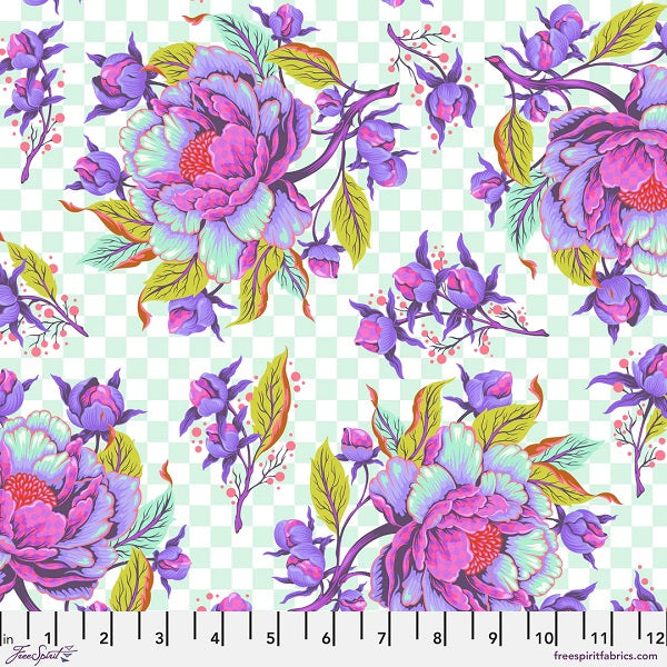 Free Spirit - Untamed Nova Peony for Your Thoughts