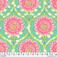 Free Spirit - Untamed Moonbeam Daisy and Confused