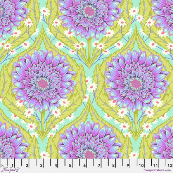 Free Spirit - Untamed Nova Daisy and Confused