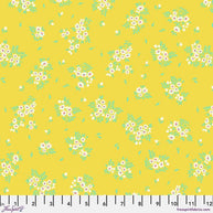 PWTP253.Buttercup What a Ditz, Tula's True Colors 2025 1/2m