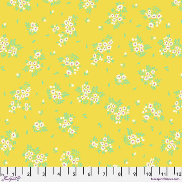 PWTP253.Buttercup What a Ditz, Tula's True Colors 2025 1/2m