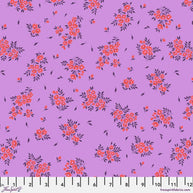 PWTP253.Heliotrope What a Ditz, Tula's True Colors 2025 1/2m