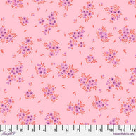 PWTP253.Pinklemonade What a Ditz, Tula's True Colors 2025 1/2m