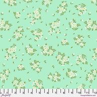 PWTP253.Spearmint What a Ditz, Tula's True Colors 2025 1/2m