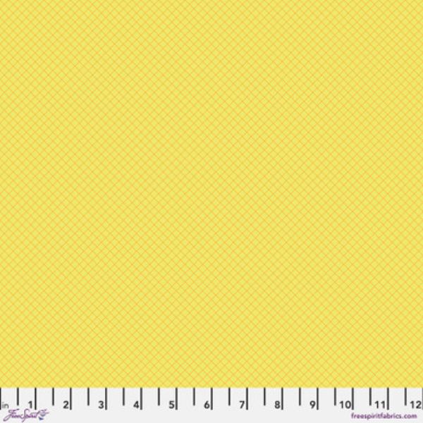 PWTP255.Highlighter On the Grid, Tula's True Colors 2025 1/2m