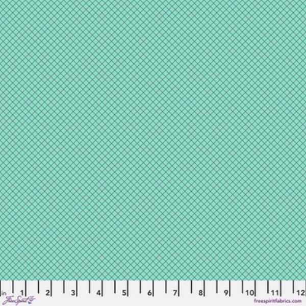 PWTP255.Raindrop On the Grid, Tula's True Colors 2025 1/2m
