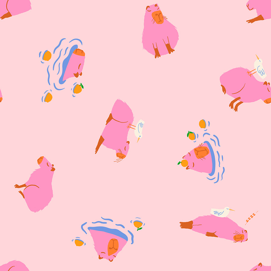 Animal Animal Capybara Cotton Candy