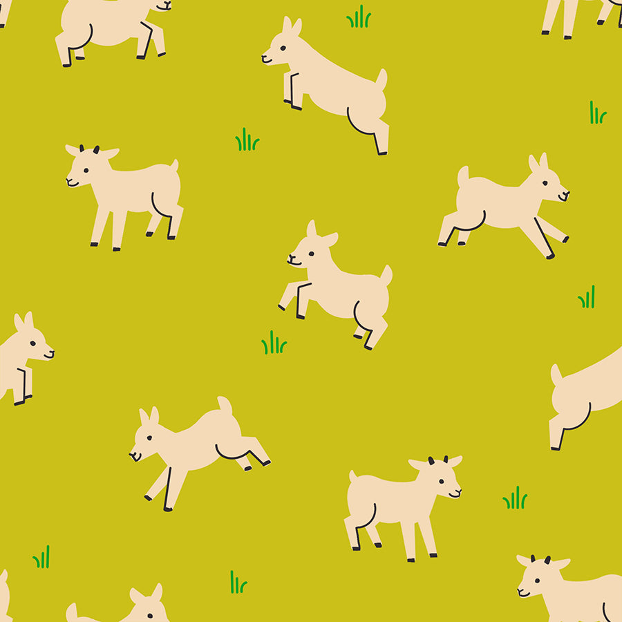 Animal Animal Baby Goats Pisatchio