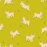 Animal Animal Baby Goats Pisatchio