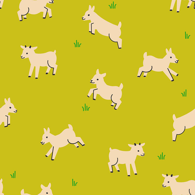 Animal Animal Baby Goats Pisatchio