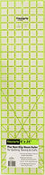 Omnigrip 6in x 24in Ruler